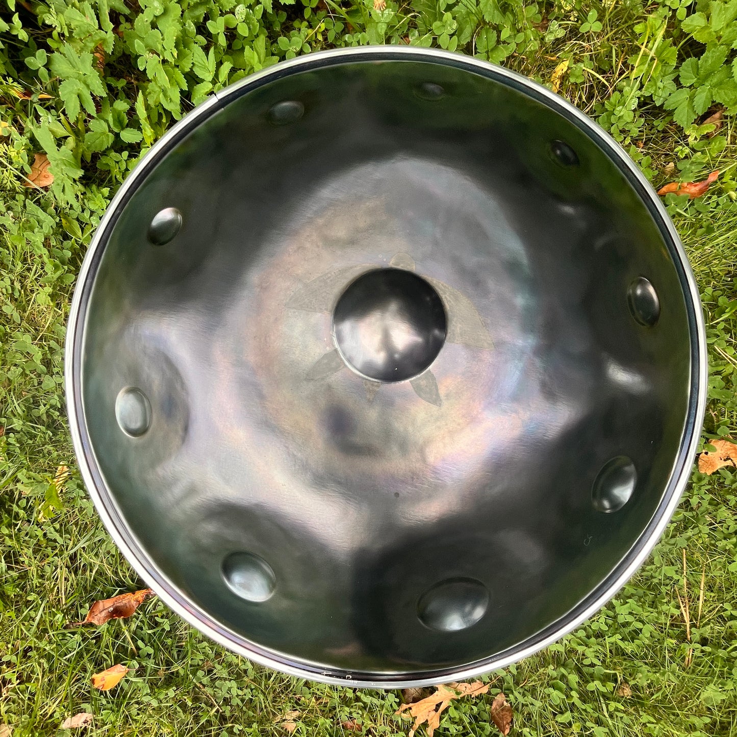 For Pete! D Waples Terrapan 9- Vintage Track 4 on Old Souls by Rewildyoursoul