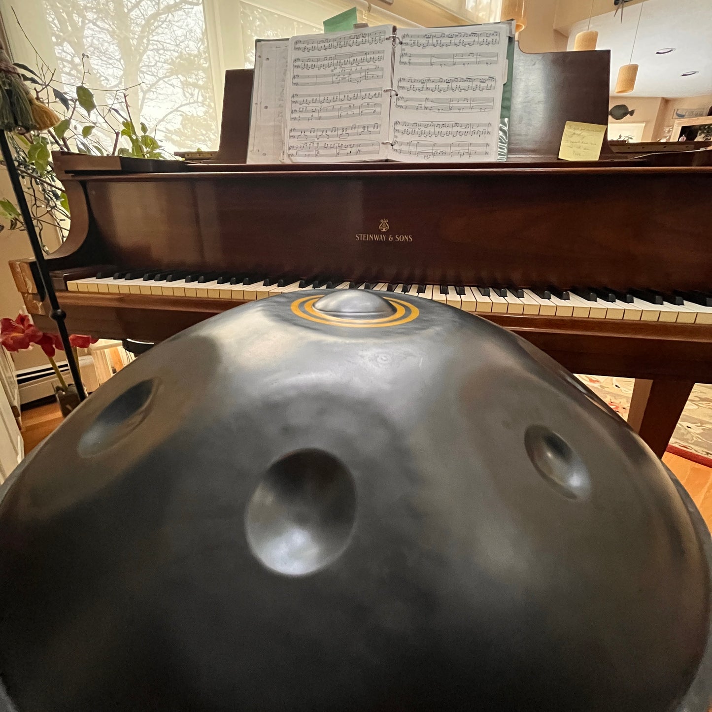 Asachan Echo Sound Sculpture Talay Sai 2014- Used on Old Souls